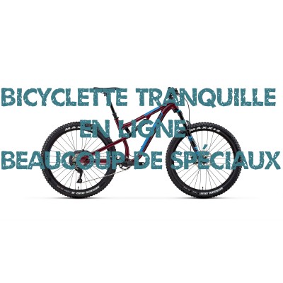 Bicyclette tranquille